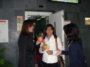 Semente - 3º Aniversário