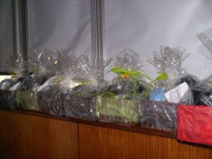 Semente - Doação de Cabazes REEE’s e Monitores