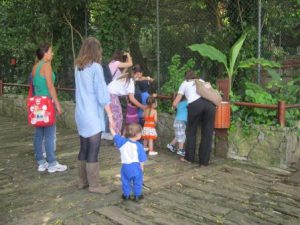 Semente - À descoberta do Zoo