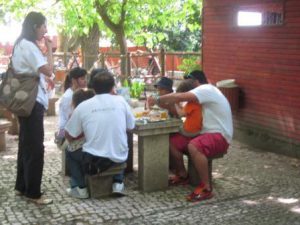 Semente - À descoberta do Zoo