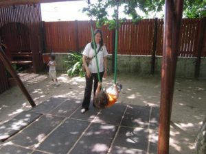 Semente - À descoberta do Zoo